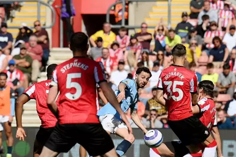 ساوثامبتون يوظف أموال بيع فيرنانديز لضم صفقات جديدة